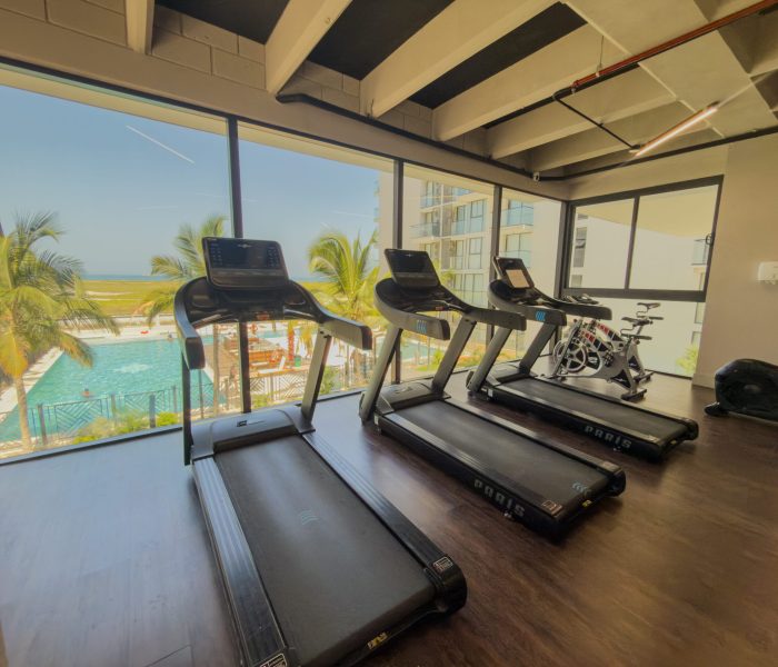 Caminadoras GYM